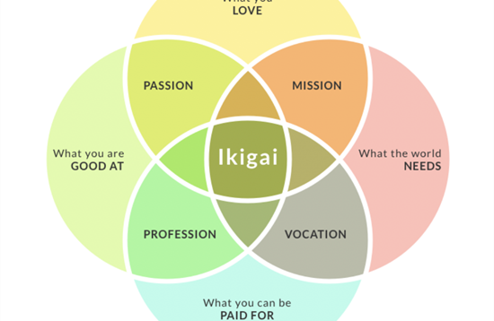 IKIGAI - die japanische Lebenskunst